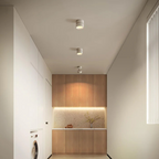 Hazel | Candeeiro de Teto LED | Regulável, Design Minimalista | Alumínio