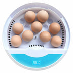 Romilly | Incubadora de Ovos Automática LED com Controlo de Temperatura