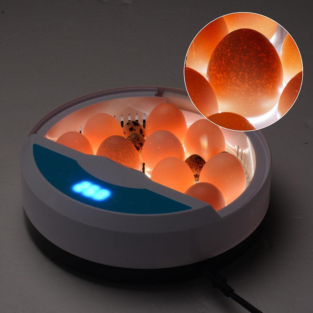 Romilly | Incubadora de Ovos Automática LED com Controlo de Temperatura