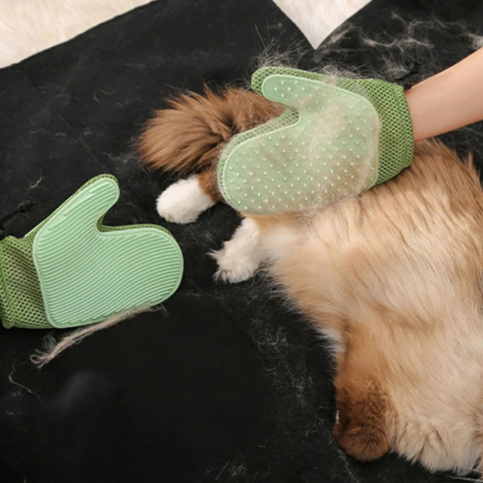 Romy | Luva de Tosa para Gatos 2 em 1