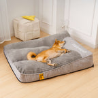 Anneke | Cama Ortopédica para Cães | Memory, Almofada Cervical | Grande