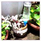Iris | Picos de Rega Automática | Pack 12 Unidades, Fluxo Ajustável | Plantas em Vaso