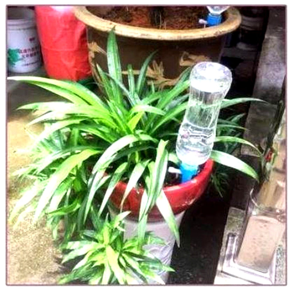 Iris | Picos de Rega Automática | Pack 12 Unidades, Fluxo Ajustável | Plantas em Vaso