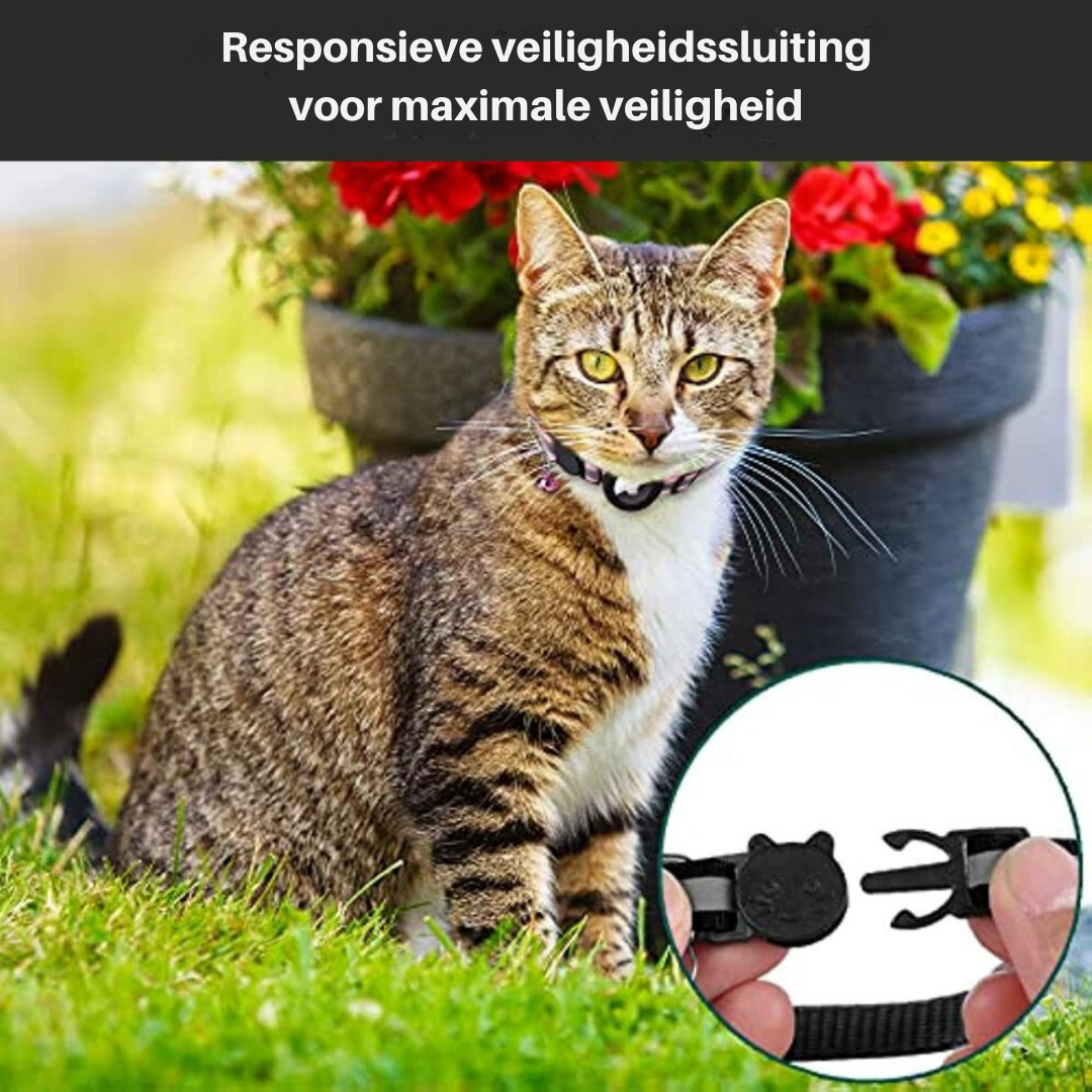 Liora | Coleira GPS para Gatos Refletiva com Libertação Rápida